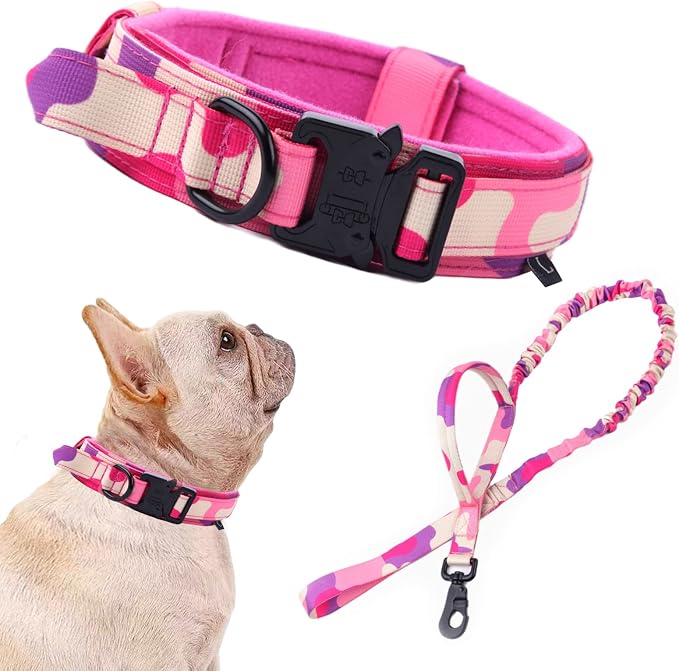 Tactical Dog Collar and Leash Set for Large Dogs with Handle,Pink Camo,S | 1000D Heavy-Duty Nylon Fabric,Quick-Release Metal Buckle,Adjustable Fit,Soft-Padded Webbing,D-Ring,for Training & Hiking
