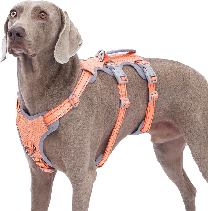Escape Proof Dog Harness, No Pull Reflective Harness with Lift Handle, Adjustable Pet Vest with Front and Back Leash Clips for Small Medium Large Dogs Walking Hiking Training (Orange,XL)