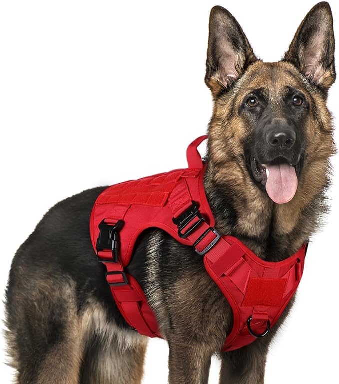 rabbitgoo Tactical Dog Harness for Large, Heavy Duty Military No Pull Vest | Sturdy Metal Buckles, 5 Adjustments, Molle System, Powerful Pullers for Training, Hunting, Outdoor, Red, Large