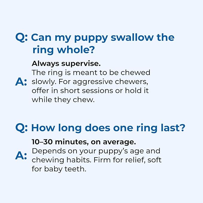 N-Bone Puppy Teething Rings Taste of Texas Pulled Pork Flavor 3 Count