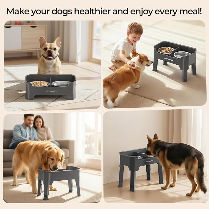URPOWER Mess Proof Elevated Dog Bowls, Splash Guard Raised Bowl Stand | 4 Adjustable Heights, 2 Stainless Steel Bowls, Food & Water Separation, Foldable Design Non-Slip for Small Medium Large Dogs