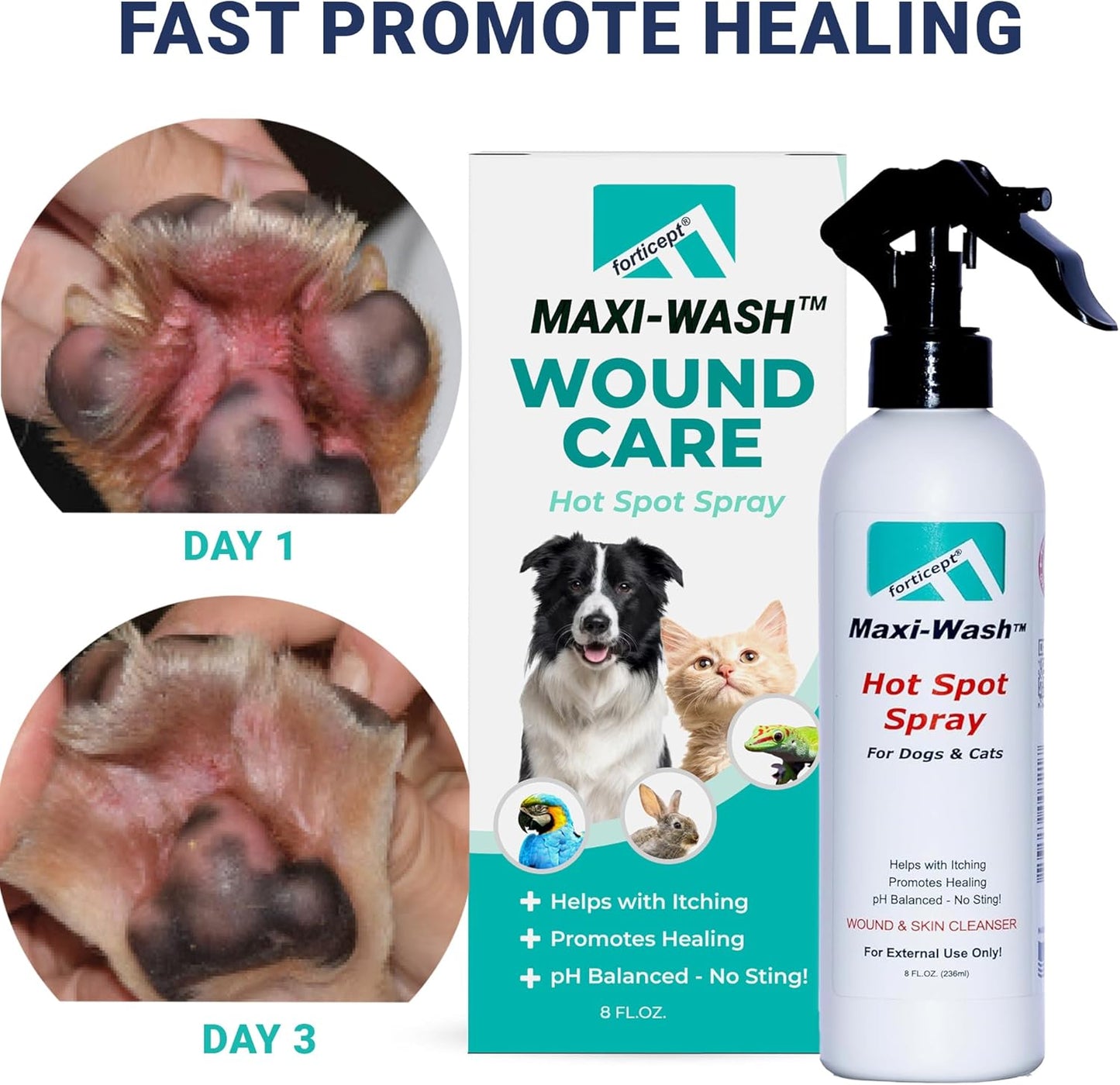 Forticept Maxi-Wash Hot Spot Spray Treatment, Wound Care & Itch Relief Spray for Dogs and Cats. Relives Scratching, Rashes, Sores, Itchy Skin and Paw Licking 8 oz