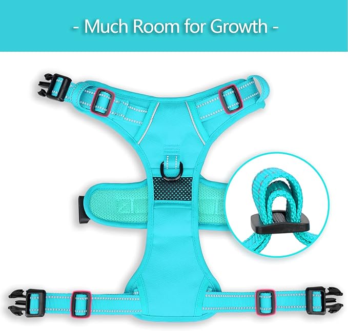 PoyPet No Pull Dog Harness, Reflective Vest with 2 Leash Clips & Handle | Lockable Neck Release Buckle, No Choke, Adjustable, Soft Padded, for Walking Training, Mint Blue Matching Trim, Large