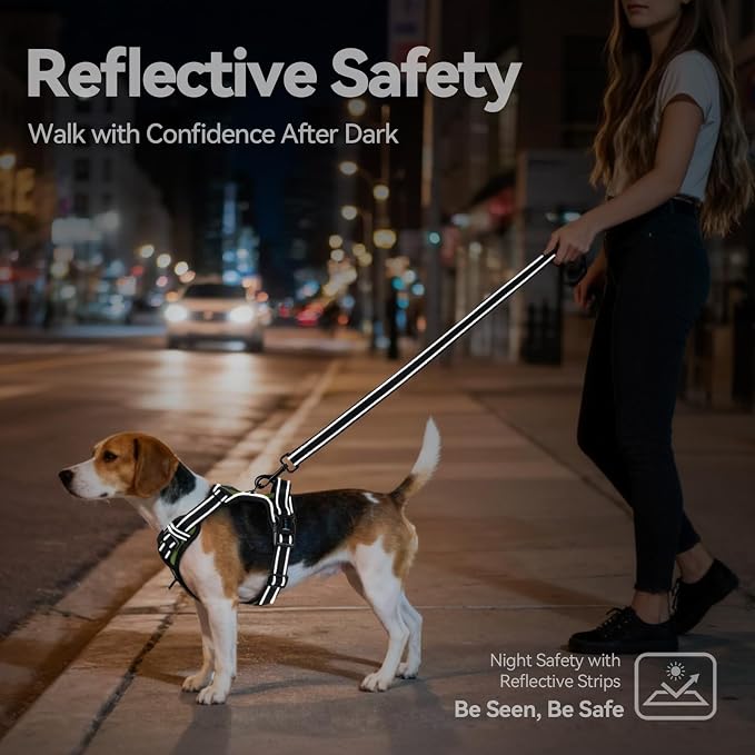 No Pull Dog Harness with Handle Front & Back Clip, Easy on | Lockable Snap Buckle at Neck, Adjustable Reflective Vest with Handle for Small Medium Large Dogs (XL, Misty Green)
