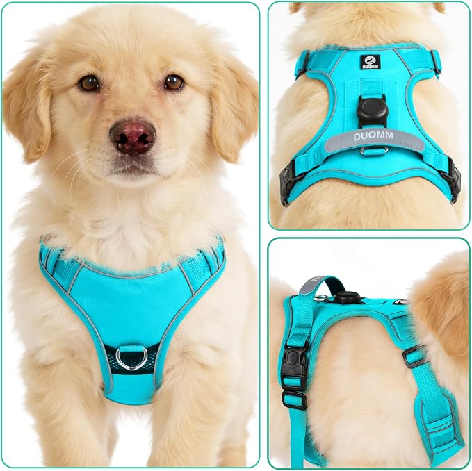 YooxArmor No Pull Tactical Dog Harness and Leash Set for Small Dogs,Blue | Adjustable Pet Vest Harness, Reflective Easy Control for Night Walking Training