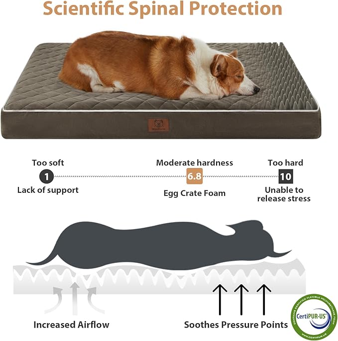 WNPETHOME Orthopedic Waterproof Dog Bed Medium for Comfy Sleeping | Washable Medium Pet Bed with Removable Cover, Multi-Needle Quilting Dogs Crate Bed Dark Green 30x20 Inch