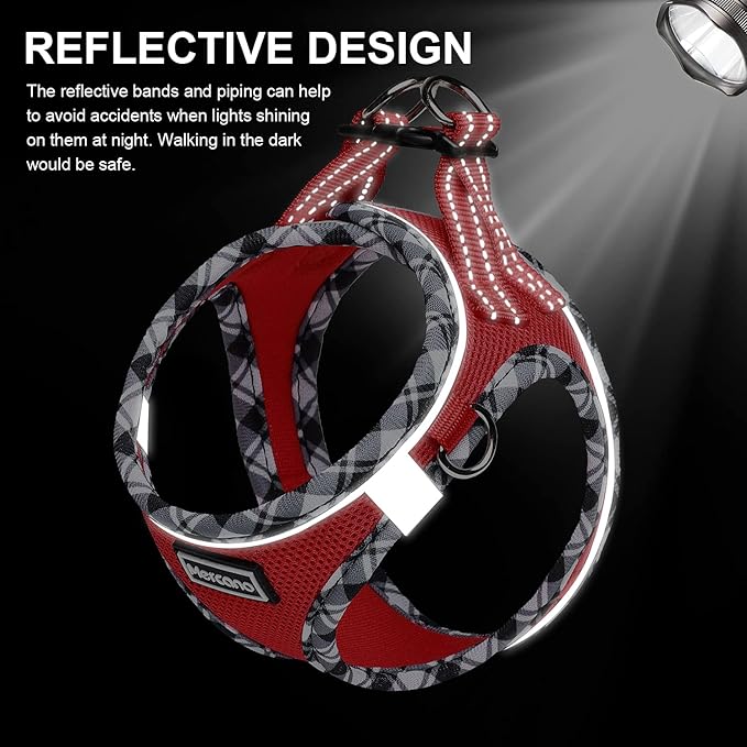 Mercano Soft Mesh Dog Harness and Leash Set, No-Chock Step-in Reflective Breathable Lightweight Easy Walk Vest Harnesses with Safety Buckle for Small Dogs, Cats (Red, XL)