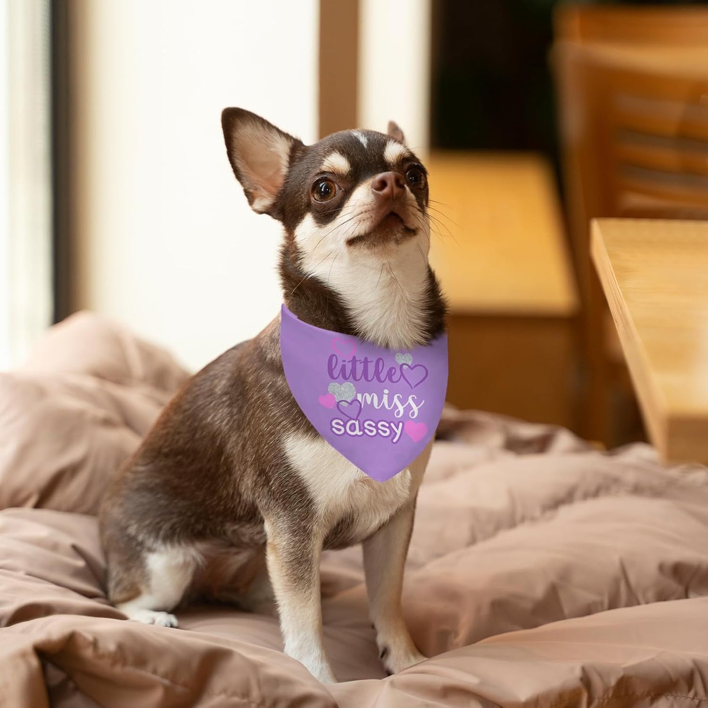 Puppy Bandana 2 Pcs, Princess Sassy Pet Scarf Gifts for Dog Girl, Pink Purple Cute Puppy Bandana for Medium to Large Pet Dogs On Birthday, Cute Girl Dog Scarf Kerchief, Gifts for Dogs Lovers
