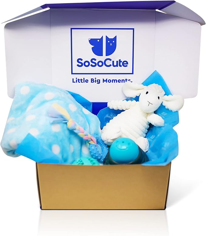 SoSoCute Blue Dog Gift Box - Puppy Chew Toy Set of 5 - Care Package with Dog Blanket, Squeaky Plush, Rubber Puppy Teether, Teething Ball, and Treat Ball for Small and Medium Dogs