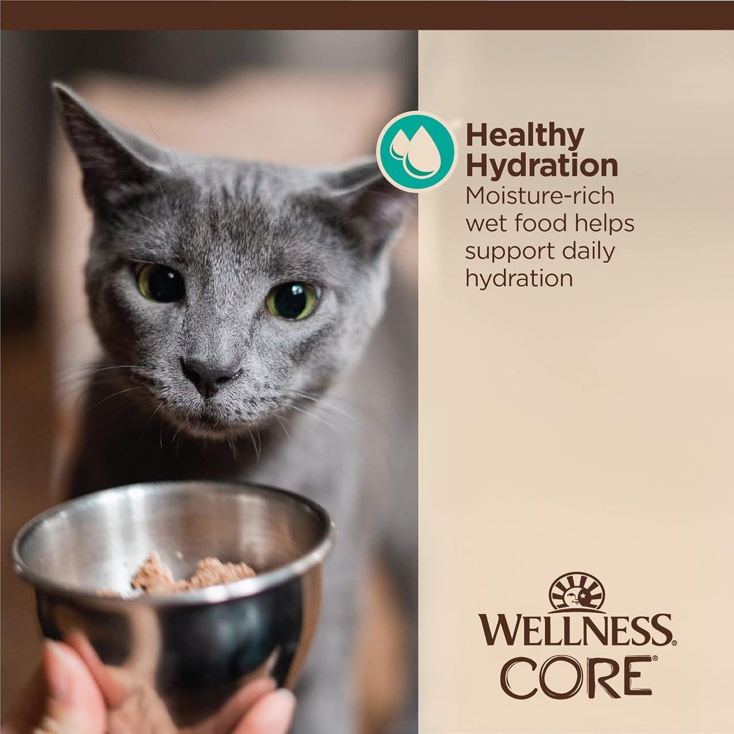 Wellness CORE Tiny Tasters Flaked Adult Wet Cat Food, Natural, Protein-Rich, Grain Free, 1.75-Ounce Pouch, 12 Pack, (Tuna & Salmon)