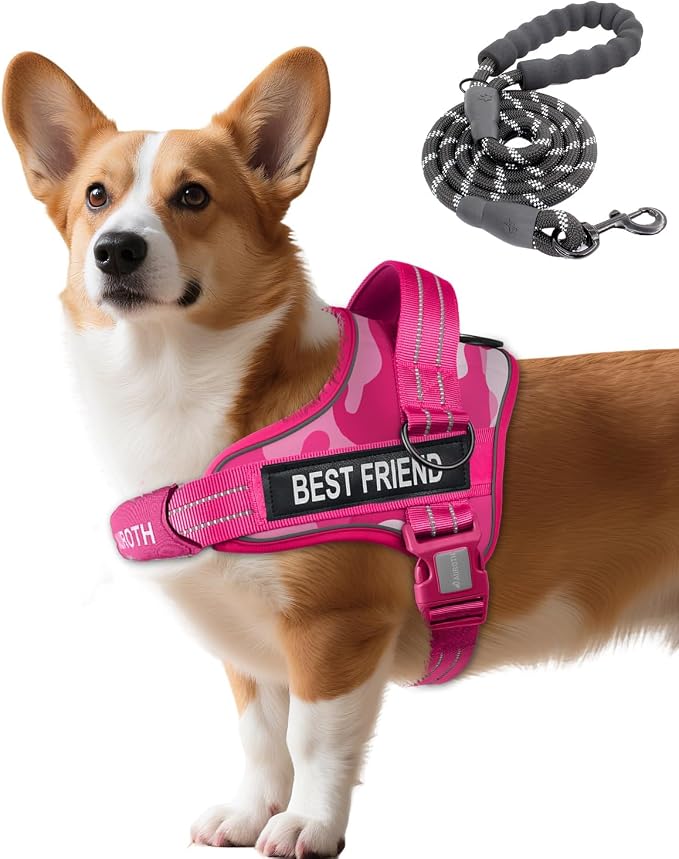 AUROTH Dog Harness and Leash Set Small Sized Dog, No Pull Escape Proof Vest | with Leash Clips, LED light clip, Breathable Mesh Padded No Choke, Easy Walking and Training, Pink Camo, Small