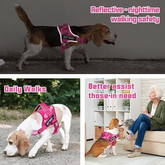 AUROTH Dog Harness and Leash Set for Large Sized Dog, No Pull Dog Vest | with Leash Clips, LED light clip, Soft Padded No Choke, Escape Proof, Easy Walking and Training, Pink Camo, XL