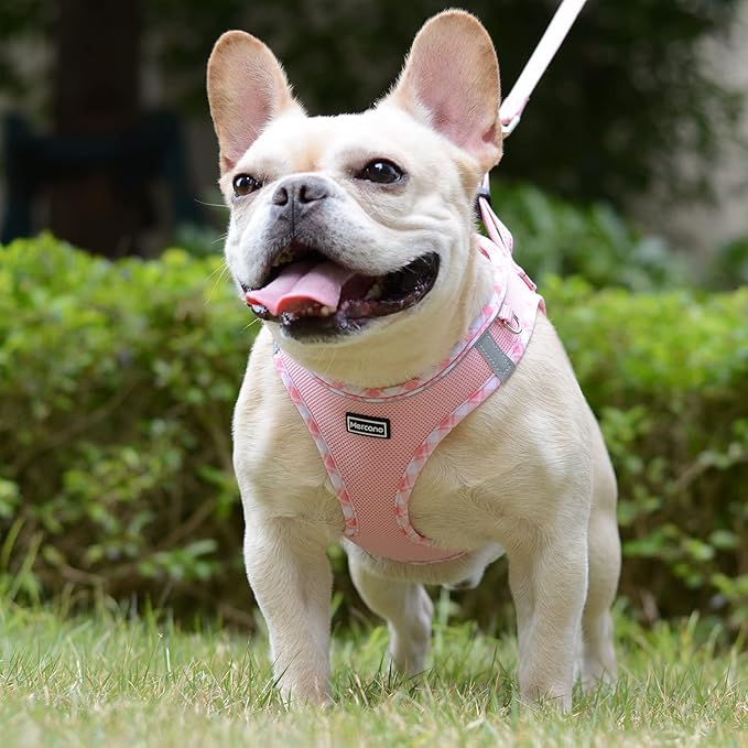 Mercano Soft Mesh Dog Harness and Leash Set, No-Chock Step-in Reflective Breathable Lightweight Easy Walk Vest Harnesses with Safety Buckle for Small Dogs, Cats (Pink, S)