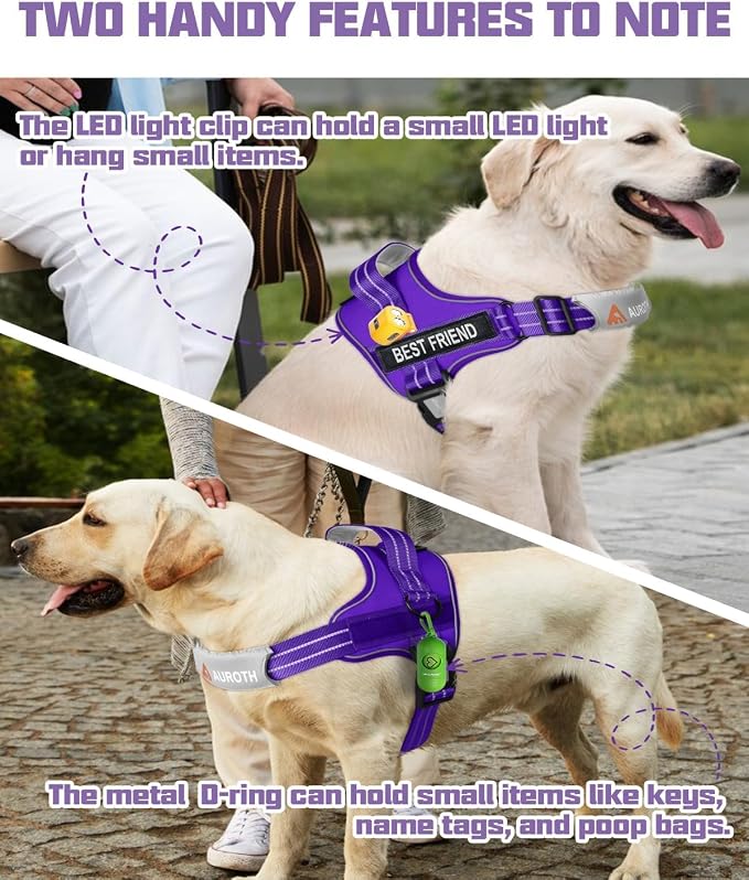AUROTH Dog Harness and Leash Set Small Sized Dog, No Pull Escape Proof Vest | with Leash Clips, LED light clip, Breathable Mesh Padded No Choke, Easy Walking and Training, Purple, Small