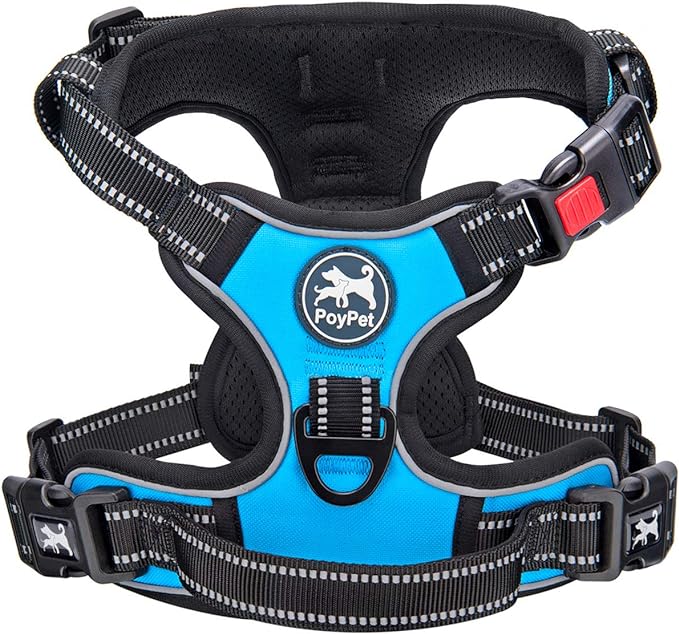 PoyPet No Pull Dog Harness Small with Front Clip & Neck Release Buckle | No Choke, Adjustable Vest, Reflective, Back Clip, Lockable, Soft Padded, Easy Control Handle for Walking Training, XS, Blue
