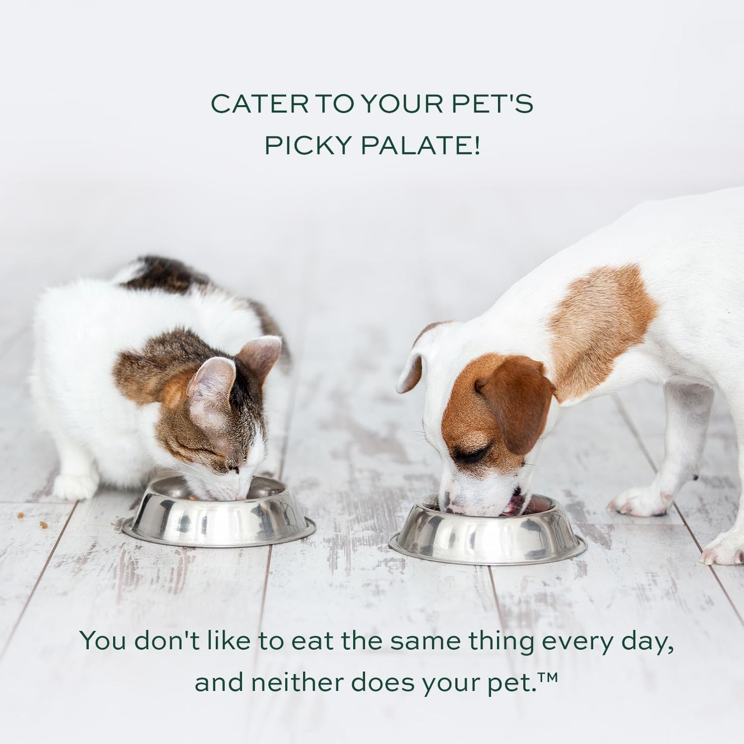 pawTree Healthy Food Toppers for Dogs & Cats - Appetite Booster with Freeze-Dried Proteins. Delicious Pet Food Seasonings and Flavor Enhancer for Picky Eaters & Appetite Stimulation (Beef)