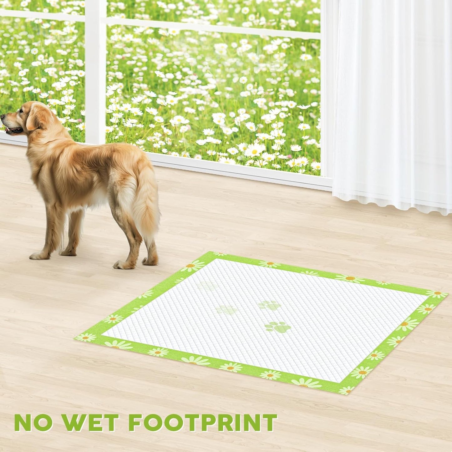 CROCI Pee Pads for Dogs 30x36in Daisy Pattern, Puppy Pads with Adhesive Tabs Super Absorbent Up to 10 Cups, Disposable (40 Counts)