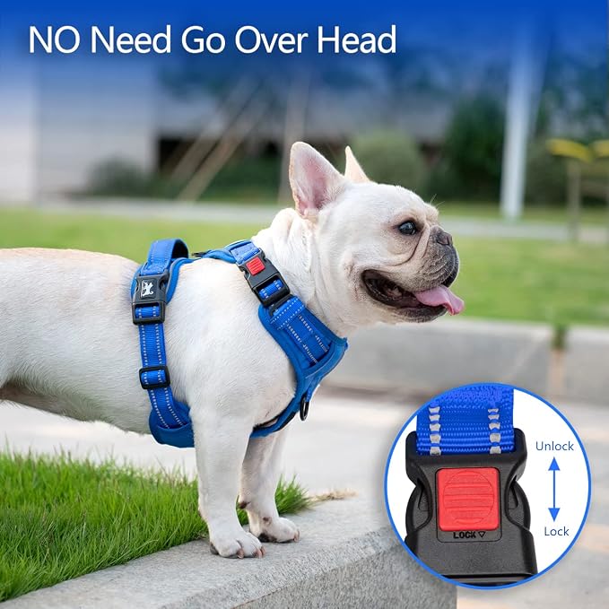 PoyPet No Pull Dog Harness, Reflective Vest with 2 Leash Clips & Handle | Lockable Neck Release Buckle, No Choke, Adjustable, Soft Padded, for Walking Training, Royal Blue, Small