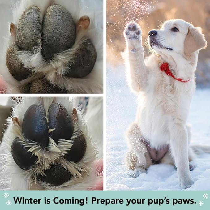 Natural Dog Company PawTection Balm for Dogs – Winter Paw Protection from Snow, Ice & Salt, Wax-Based Paw Barrier Balm, All Breeds for Cold Weather Walks & Outdoor Adventures, Lick-Safe, 2 oz Tin