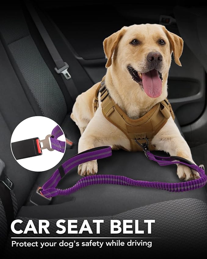 Joytale Tactical Bungee Dog Leash, Shock Absorbing No Pull, Purple | for Large Dogs That Pull, 2 Padded Handles for Control, Car Seatbelt Clip, Reflective for Night Safety, Metal Frog Clip