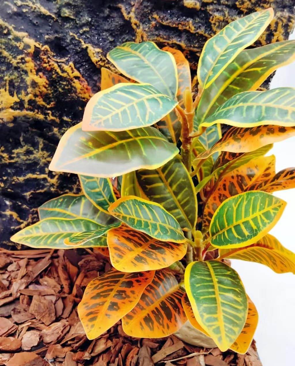 Reptile Plants Terrarium Artificial Leaves Reptile Tank Decorations for Bearded Dragon Lizard Snake Geckos Chameleon Amphibian Habitat Terrarium Decor