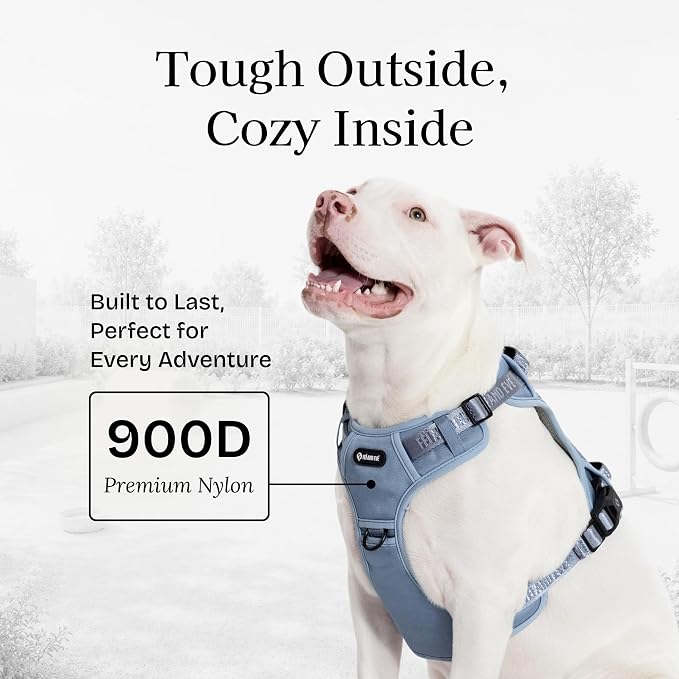 Fei & Eve Classic Dog Harness, MagEase Magnetic Buckle | 3-Point No-Pull Control, Dual Handle Support, 900D Nylon, Tactical Patch Panel, Heavy Duty, X-Large, Blue
