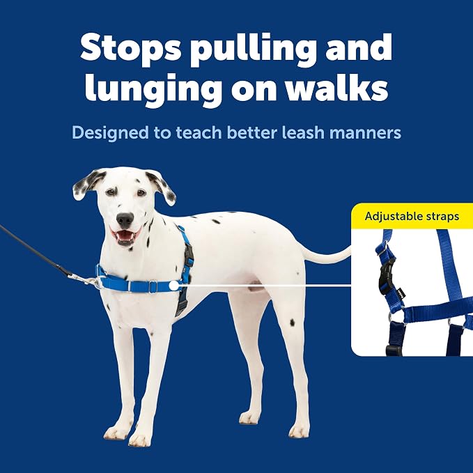 PetSafe Easy Walk Harness, No Pull Dog Harness, Royal Blue, Medium/Large | Patented Martingale Loop Gives Gradual Shoulder Pressure to Stop Pulling, Front-Chest Leash Clip Prevents Gagging