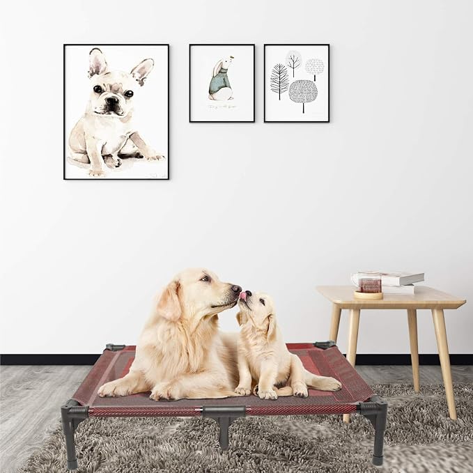 Elevated Dogs Bed Waterproof Outdoor, Portable Raised Dog Cot, Dog Beds Off the Floor, Dog Beds Easy Clean Indoor or Outdoor Use, Large, Red