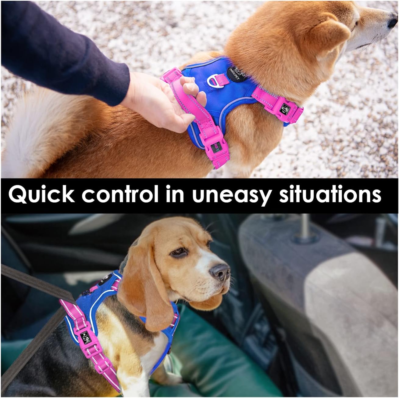 PHOEPET No Pull Dog Harness, Unique Colors Reflective Adjustable Dog Vest, with Soft Training Handle Metal Clips for Small Medium Large Dogs (Royal Blue Base & Pink Straps,M)