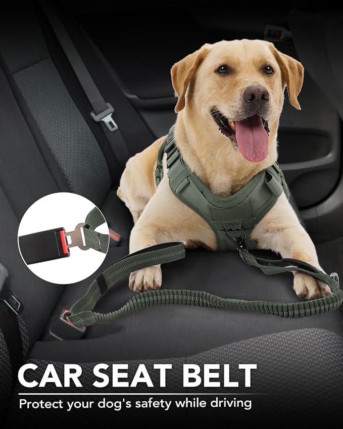 Joytale Tactical Bungee Dog Leash, Shock Absorbing No Pull, Army Green | for Large Dogs That Pull, 2 Padded Handles for Control, Car Seatbelt Clip, Reflective for Night Safety, Metal Frog Clip