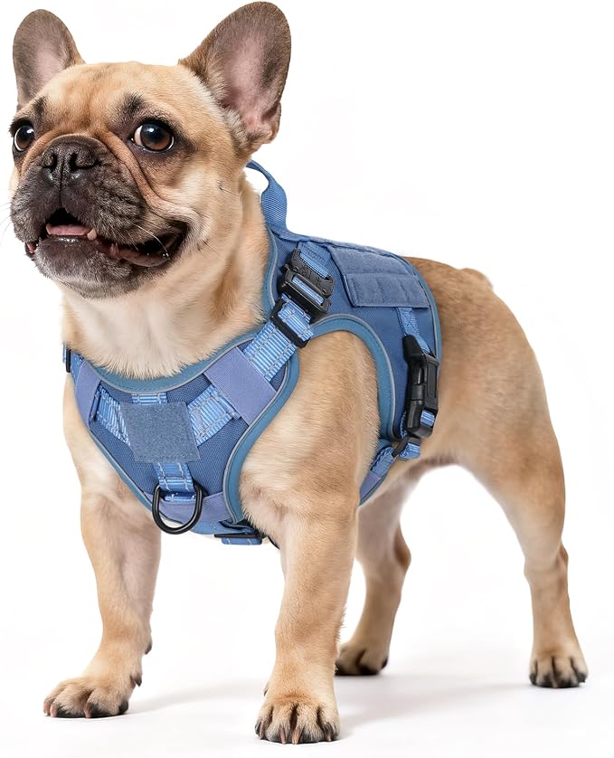 rabbitgoo Tactical Dog Harness for Small, Heavy Duty Military No Pull Vest | Sturdy Metal Buckles, 5 Adjustments, Molle System, Powerful Pullers for Training, Hunting, Outdoor, Blue Reflex, Small