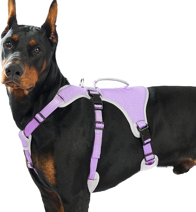 Escape Proof Dog Harness, Dachshund Harness, Reflective Dog Harness with Handle, Durable,Adjustable Vest for Small Medium Large Dogs Walking, Training, and Running Gear (Lavender Purple,XL)