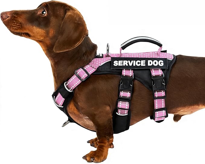 Service Dog Vest Harness, Escape Proof Harness with 6 Patches, No-Pull, Reflective Harness with Handle, Adjustable for Small to Large Dogs, for Training and Hiking (Pink, S)