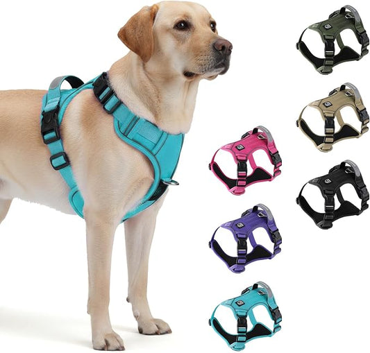 Heavy Duty Tactical Dog Harness for Small Dogs, No Pull Dog Harness with Handle & Front Clip, Reflective Soft Padded, Hook and Loop Panel, Dog Vest for Walking, Service Training, Blue