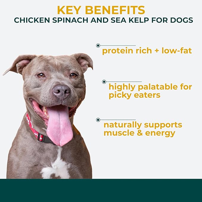 Momentum Carnivore Nutrition Freeze-Dried Chicken, Spinach & Sea Kelp Dog Treats & Cat Treats – Single-Ingredient Recipe, High-Protein, Grain-Free, Natural Superfood Blend – Made in USA – 3 oz Bag