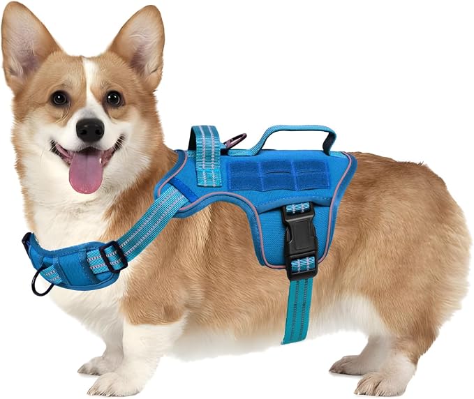 Dog Harness, Tactical No Pull for Small Sized Dog with Handle | Breathable Soft Padded, Adjustable, Reflective, Molle System, Heavy Duty, No Choke for Walking Training, Blue Small