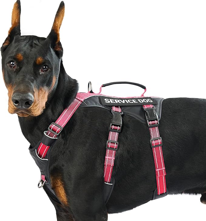 Service Dog Vest Harness, Escape Proof Harness with 6 Patches, No-Pull, Reflective Harness with Handle, Adjustable for Small to Large Dogs, for Training and Hiking (Red, L)