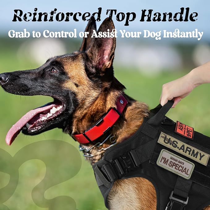 rabbitgoo Tactical Dog Harness for Small, Heavy Duty Military No Pull Vest | Sturdy Metal Buckles, 5 Adjustments, Molle System, Powerful Pullers for Training, Hunting, Outdoor, Black, Small
