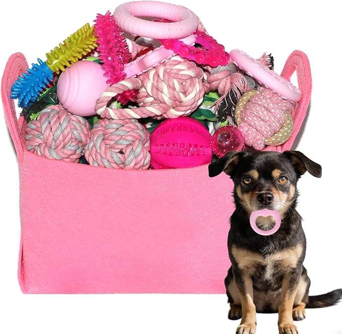 PawsAion Puppy Toys Set - 20 Pack Pink Dog Chew Toys for Teething Small Breeds - Tough Rope Toys for Puppies, Cute Soft Rubber Toys Bundle with Basket for Girl Pets