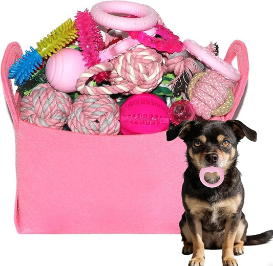PawsAion Puppy Toys Set - 20 Pack Pink Dog Chew Toys for Teething Small Breeds - Tough Rope Toys for Puppies, Cute Soft Rubber Toys Bundle with Basket for Girl Pets