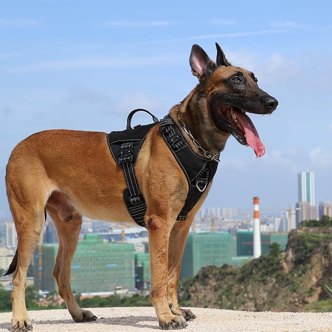 ICEFANG Quick-Moving Tactical Dog Harness for Large Dogs,No Pull Dog Vest | Control Handle,Reflective,Full Metal Buckles,Adjustable,Hook-and-Loop Panel,Soft Padded,Black,Large