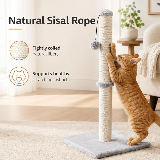 Dimaka 34" Tall Cat Scratching Post for Large Cats and Kittens, High Vertical Scratcher with Premium Natural Sisal Rope and Interactive Hanging Ball for Indoor Cat(Grey, 34 inches for Large Cats)