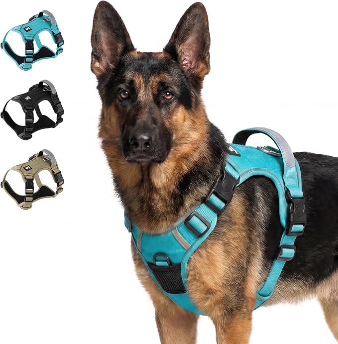 Tactical Dog Harness for Medium Dogs, Reflective No Pull Vest with Handle | 3 Point Locking Buckles, Dual Leash Clips, Handle, Reflective Strips, Hook & Loop Panel, Metal D Ring, Adjustable (blue)