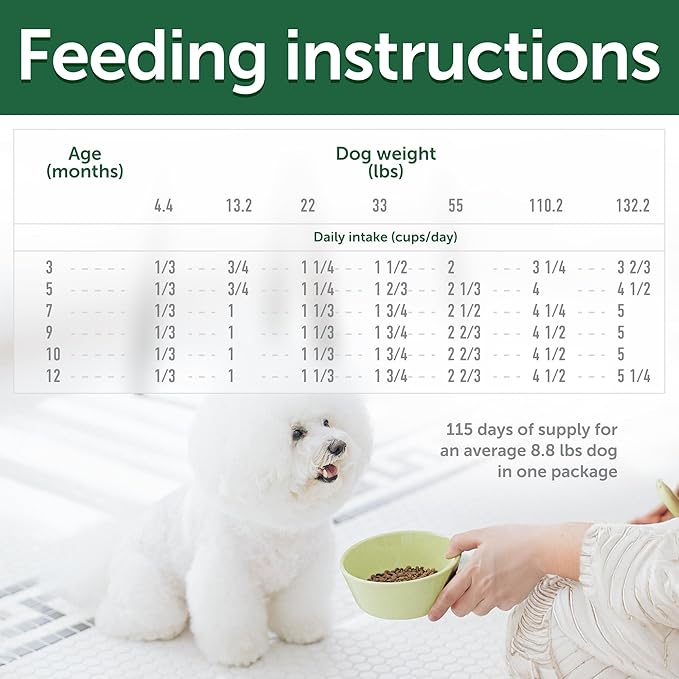 Nature's Protection Small & Large Breed Puppy Food Dry - Grain Free, High Protein, Anti-Tear Stain Formula - Dog Kibble for All Breeds with White or Light Fur (Superior Care - Salmon, 22 lb)