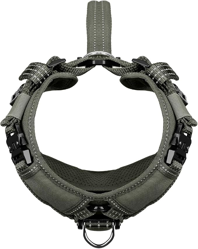 ICEFANG Dog Halter Harness with Metal Buckles,Dog Strap Vest for Small Dogs | Control Handle,Summer-Cooling,Reflective,Front Hook,Adjustable,Soft Padded,No Pull,Green,Small