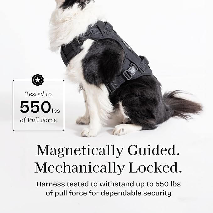 Fei & Eve Classic Dog Harness, MagEase Magnetic Buckle | 3-Point No-Pull Control, Dual Handle Support, 900D Nylon, Tactical Patch Panel, Heavy Duty, Medium, Black