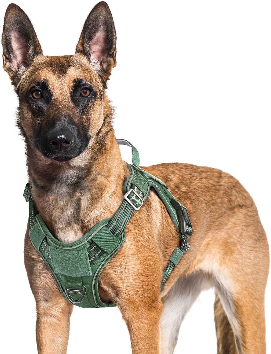 rabbitgoo Dog Harness for Large Dogs No Pull, Tactical Service Pet Vest with Molle and Control Handle, Adjustable and Reflective Military Harness for Easy Walking and Training, Green, XL