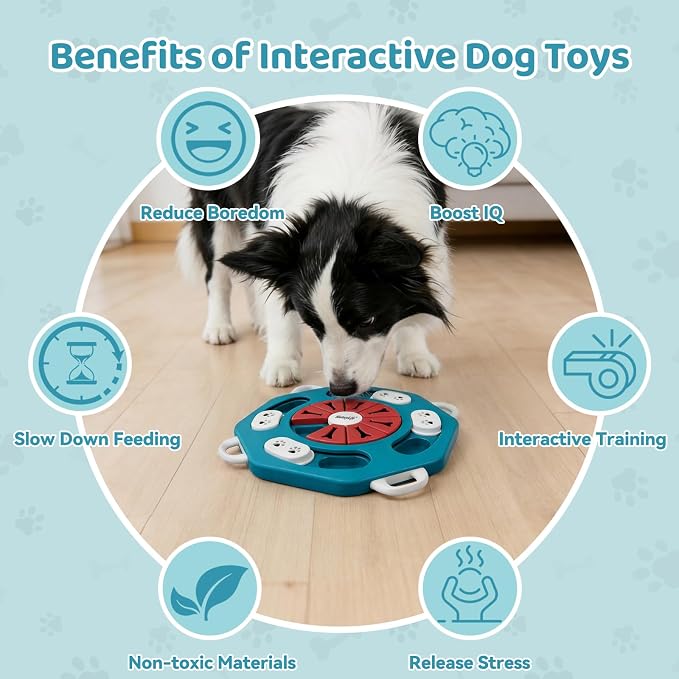 MateeyLife Dog Puzzle Toy for Smart Dogs, Mental Stimulation Dog Enrichment Toys, Treat Dispensing Dog Toys to Keep Them Busy for Small and Medium Dogs, IQ Training Puzzle Feeder, Level-2 (Blue)