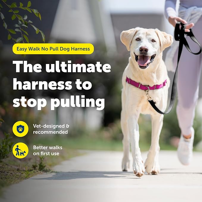 PetSafe Easy Walk Harness, No Pull Dog Harness, Raspberry, Large | Patented Martingale Loop Gives Gradual Shoulder Pressure to Stop Pulling, Front-Chest Leash Clip Prevents Gagging