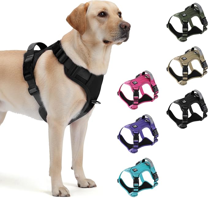 Heavy Duty Tactical Dog Harness for Small Dogs, No Pull Dog Harness with Handle & Front Clip, Reflective Soft Padded, Hook and Loop Panel, Dog Vest for Walking, Service Training, Black